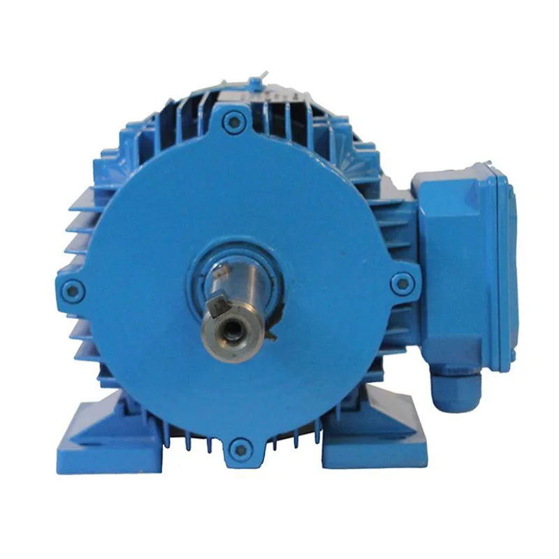 

IP55 protection Small Frame Size 3000/1500/1000/750rpm Rare Earth Permanent Magnet Energy-saving 3-Phase Synchronous Motors