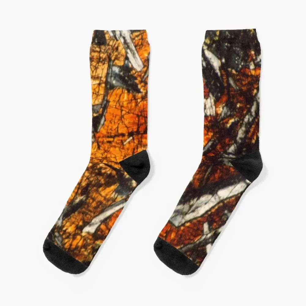 Pyroxene Crystals Mineral Thin Section Photo Socks hiking Christmas Wholesale hockey Designer Man Socks Women's