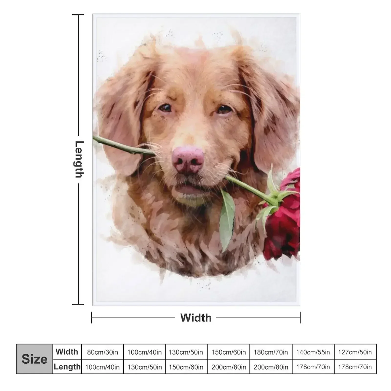 Nova Scotia Duck Tolling Retriever with rose Watercolour - Happy Valentine’s Day Throw Blanket Summer Decorative Beds Blankets