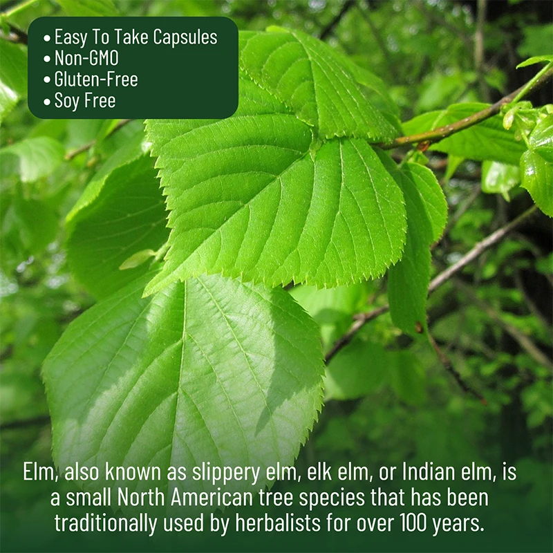 Slippery Elm 400mg - Soothes The Gastrointestinal Tract and Improves Digestion