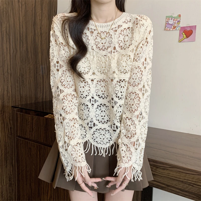 Sheer Crochet Top Embroidery Lace Blouse Long Sleeve Open-knit Crop Tops for Women Spring Summer 2024 Boho Vacation Outfit