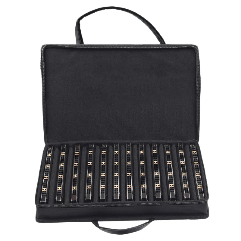 Harmonica 24 Holes 7 Keys Set, Beginner Friendly, 12 Major Scales, Tremolo for Students Kids Adults Practice Performance