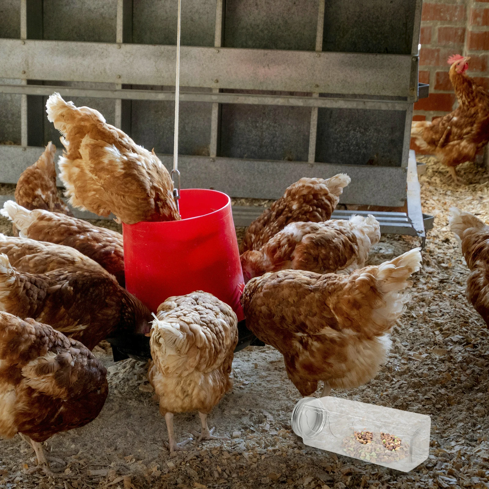 

Automatic Feeder for Small Chickens Easy Cleaning Transparent Food Box Pet Water Container Durable Materials Stable Construction