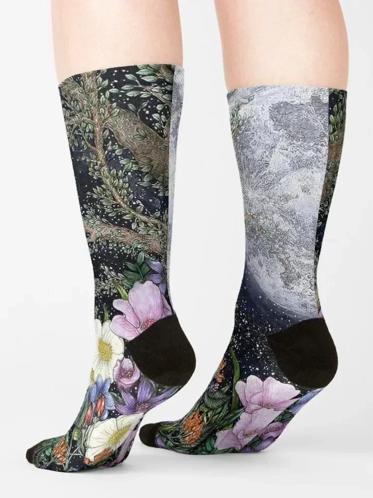 منتصف الليل في الحديقة II جوارب جوارب رجل جوارب رياضية الأزهار الجوارب للرجال والنساء