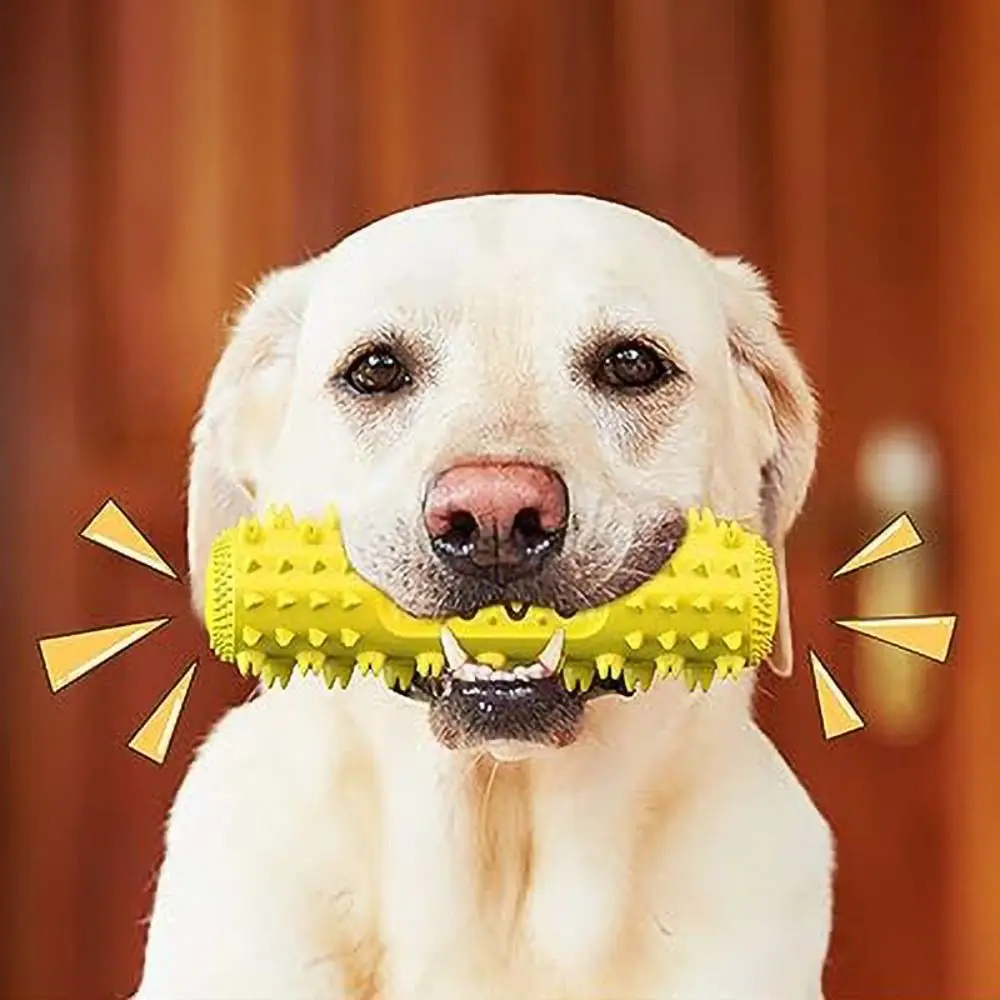 الصوتية الكلب مضغ عثرة تصميم الألوان الزاهية فرشاة أسنان الكلب عصا TPR مقاومة للاهتراء الكلب ألعاب التدريب التفاعلية للكلاب جرو