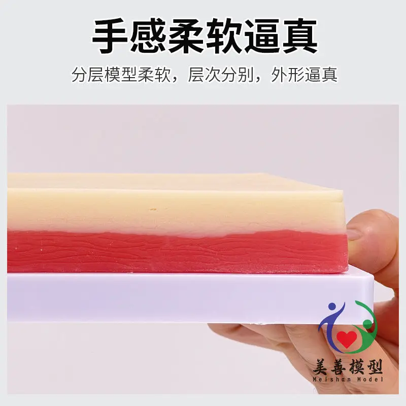 Human simulation skin injection training model, vein puncture module, subcutaneous injection exercise, forearm puncture