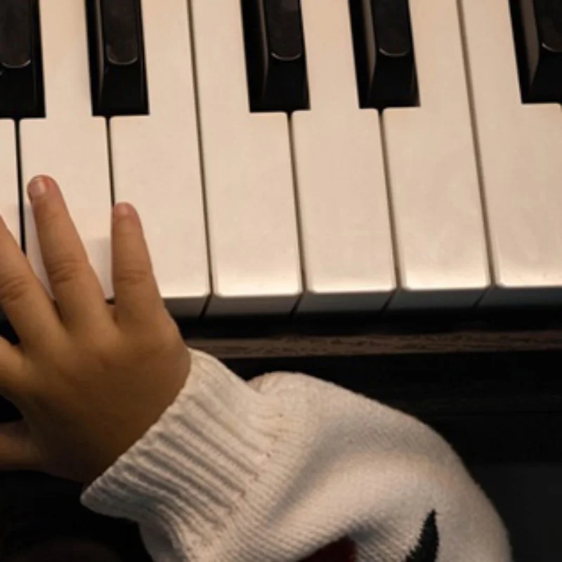 Parti di pianoforte Tuning Manutenzione Indoccaggio Macchina Chiodi per alberi Strumento di riparazione 1635C Chiodo per alberi Shenda Ago Scatola di immagazzinaggio in plastica