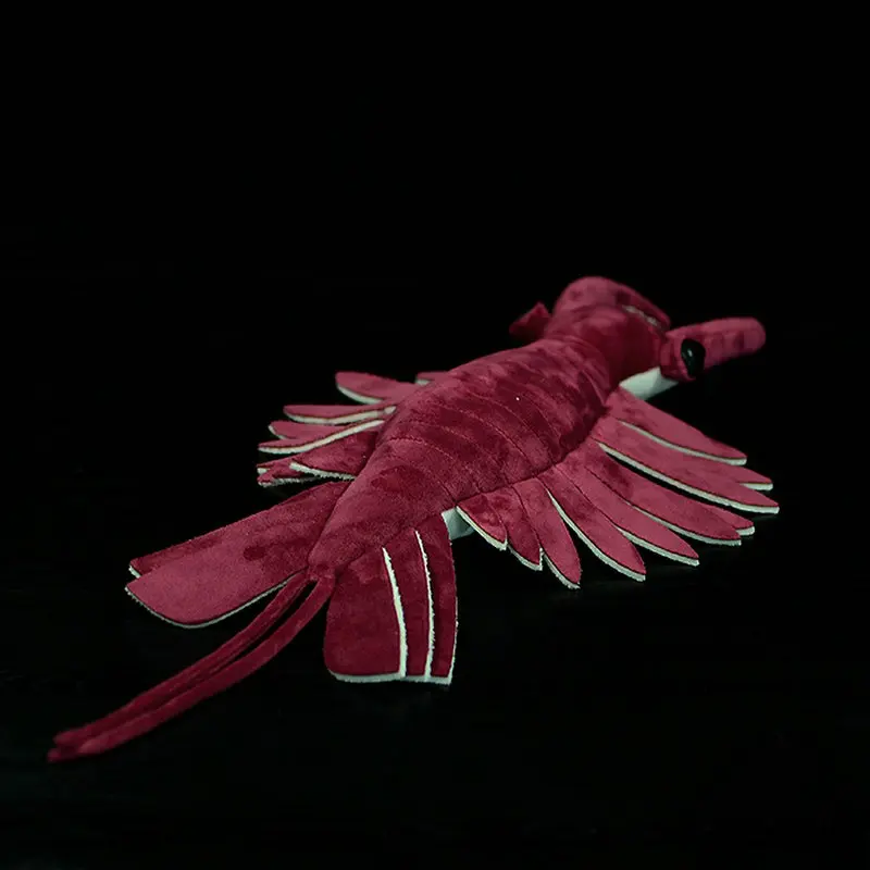 53x33cm Anomalocaris Plüsch tier Simulation schaufel förmige Garnelen Original Paläo nto logie Serie Meeres bewohner Modell Puppe Mädchen Geschenke