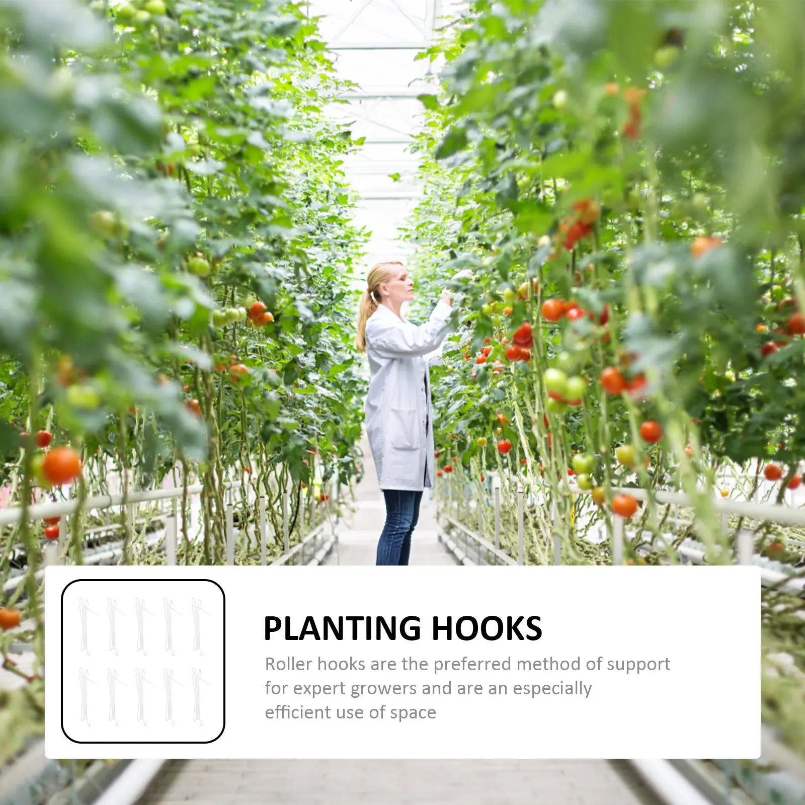

10 шт. крючков для подвязки томатов, роликовые, термостойкие, устойчивые к растрескиванию, для подвязки вишневых виноградников и тепличных растений, для верхней поддержки