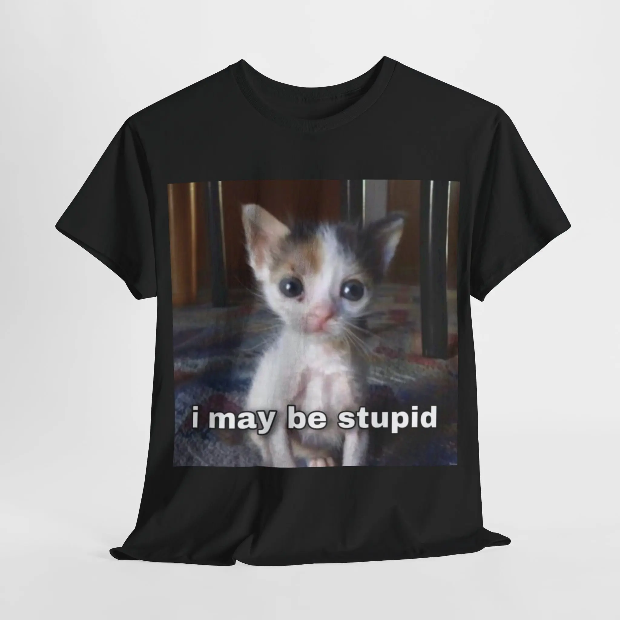 I May Be Stupid Cat Male Or Female Cotton T Shirt 6 Colors Available Funny Parody Meme