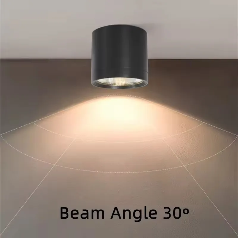 IP65 مقاوم للماء COB LED السقف النازل في الهواء الطلق شرفة الحمام سطح شنت اسطوانة 60 واط 12 واط 18 واط بقعة تركيبة إضاءة