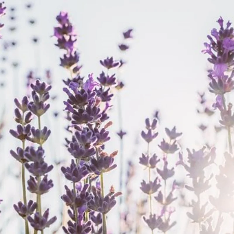 

4Pcs 2.2in Crawler Tires Oversized 136mm Rubber Tyre for 1/8 RC Car Axial Yikong YK4083 CROSSRC Rhinoceros Upgrade Parts