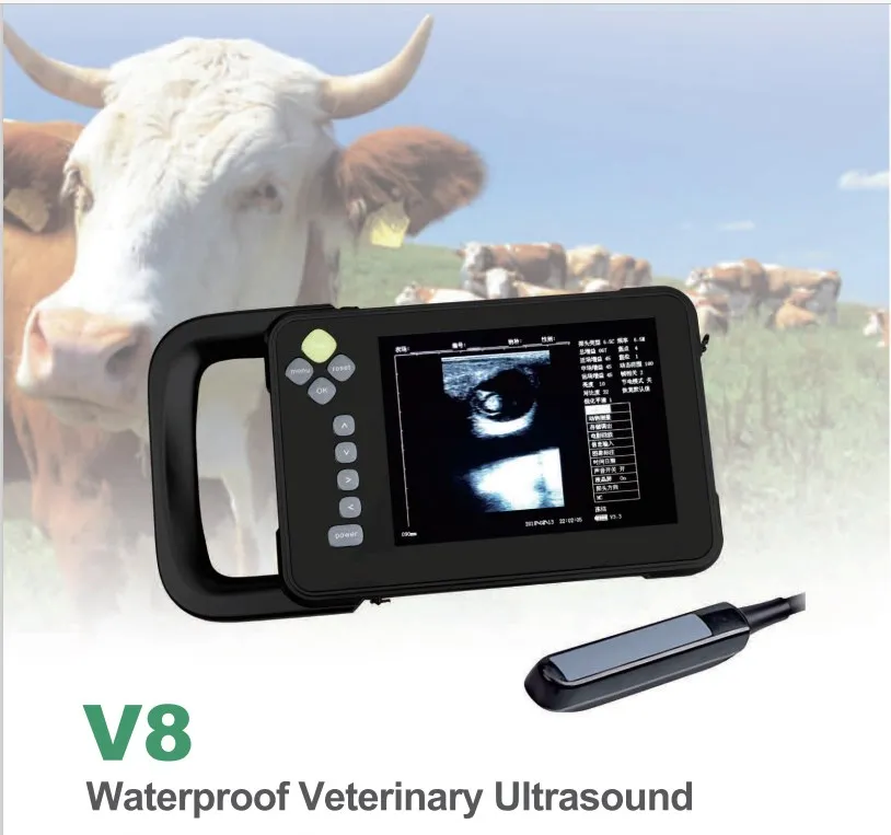LTUB08 Waterproof 7 Inch LCD Display Electronic Array Palm Veterinary Ultrasound Scanner