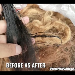 Vesta hair cold hair dyes for dyeing grey and colored human hair to black colors
