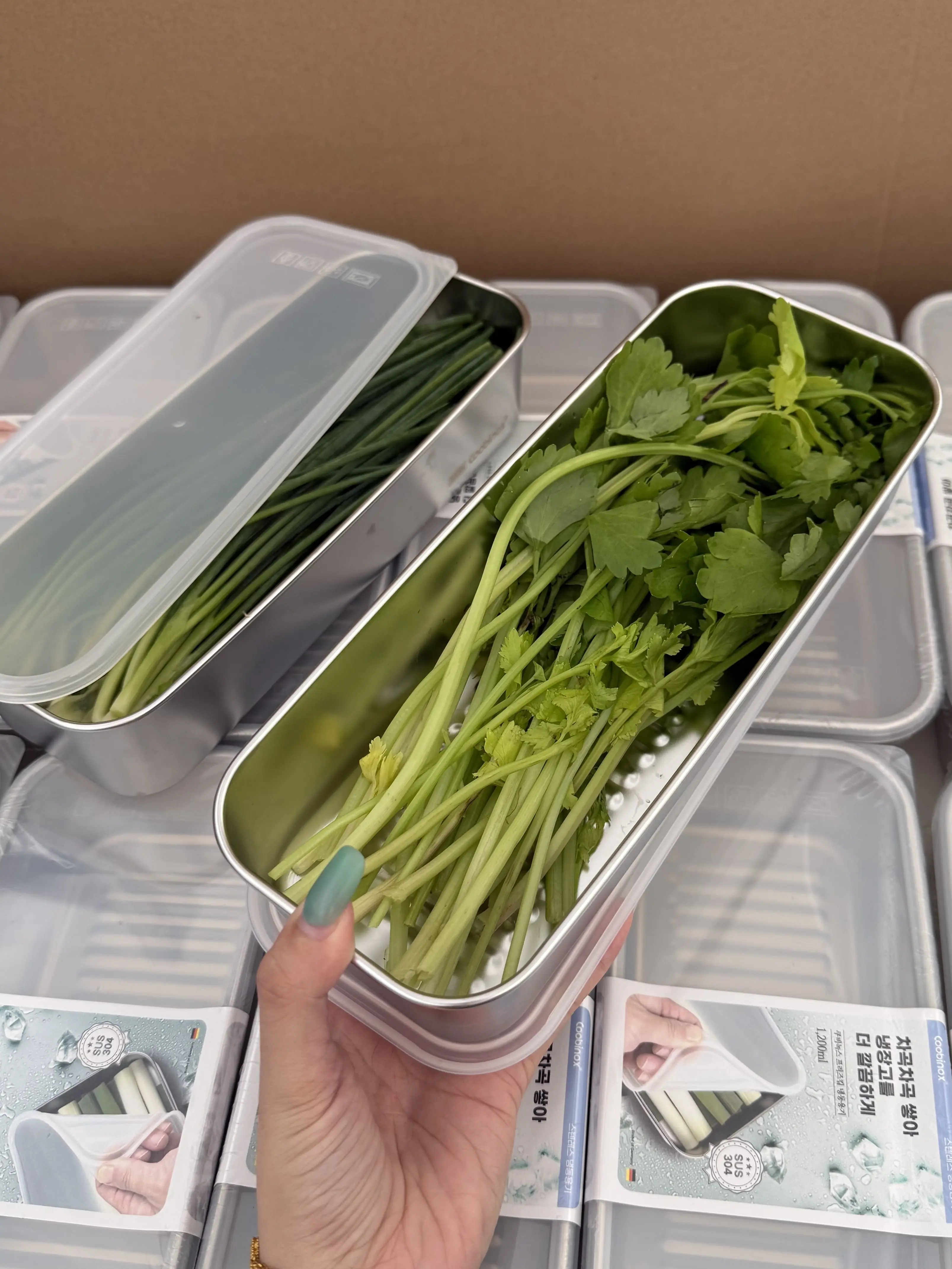 LMM stainless steel stores whole green onion, garlic, coriander noodles, slender crisper box