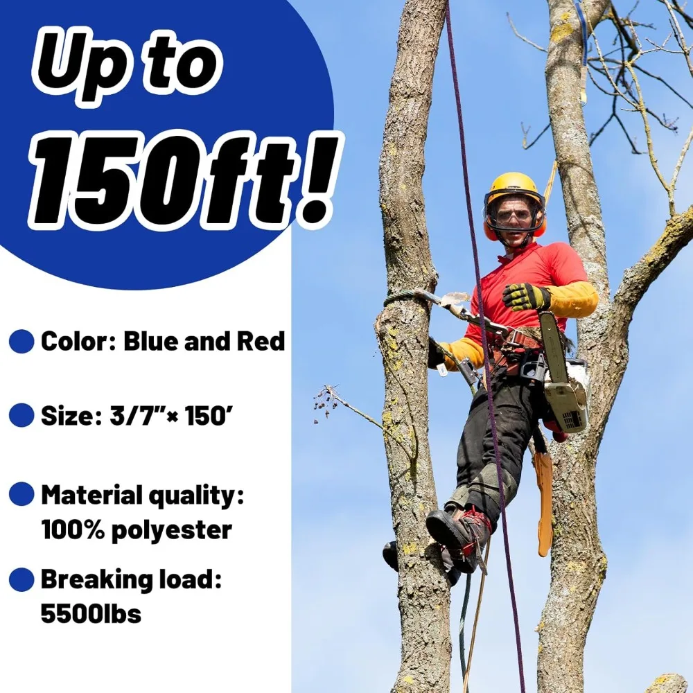 CQ3/7インチ x 150フィート アーボリストロープ - 高耐久性、耐候性ポリエステル、木登りやボート係留に最適 (3/7x150フィート)