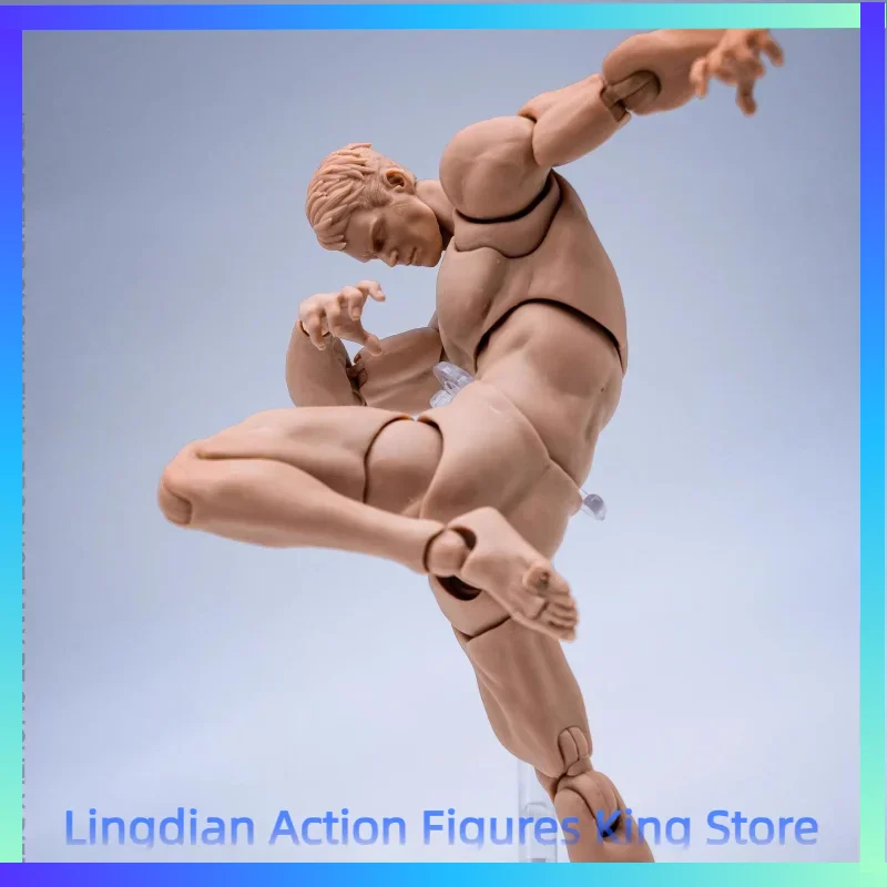 Wind Toys 1/12 Male Muscle Strong Super Flexible Joint Body 16cm Man Action Figure Doll Model with Head Sculpt view 6