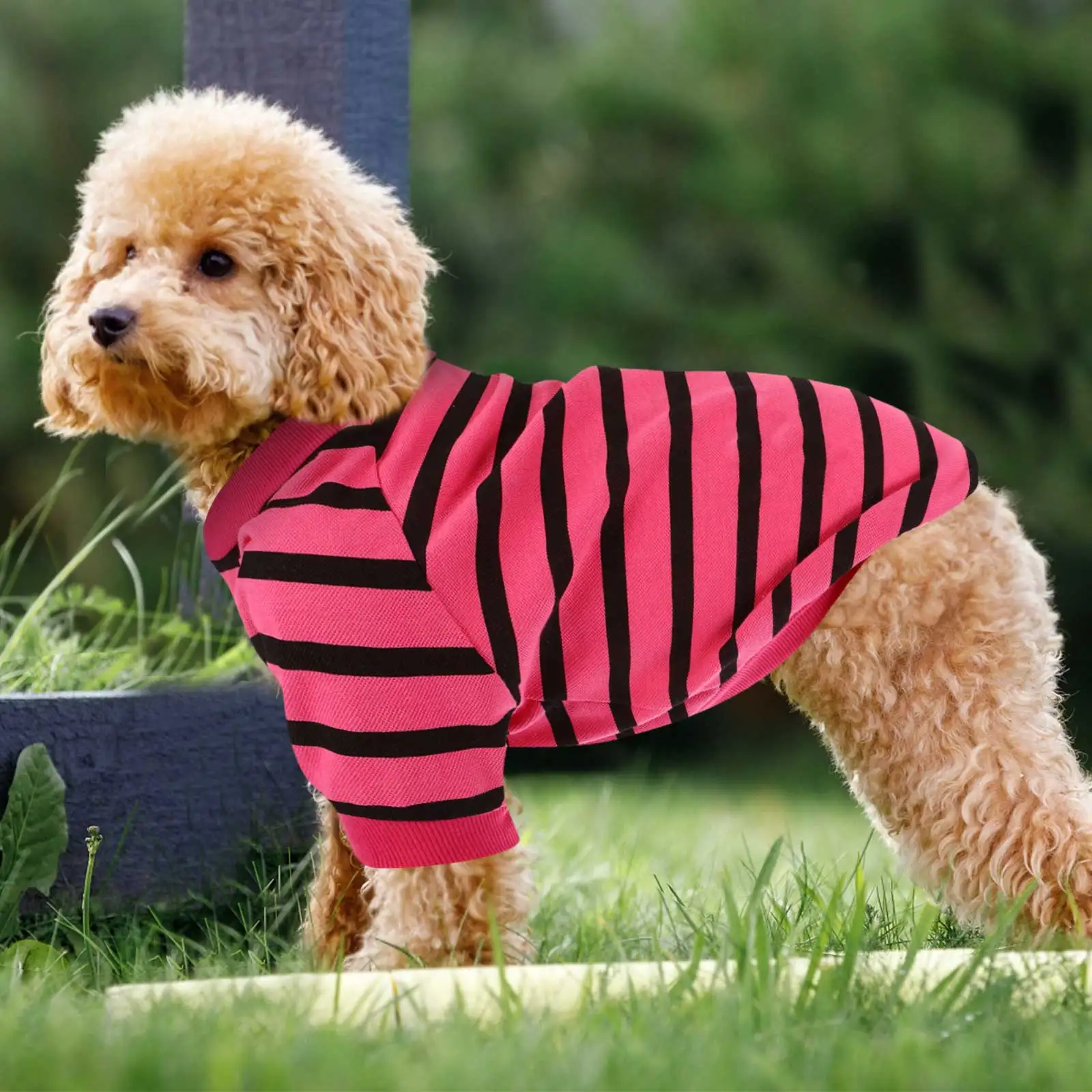 

Cute Dog T Shirts Summer Puppy Cotton Shirt Comfortable Breathable Pet Clothes Fashionable Adorable Dog Clothing Reflective Cat