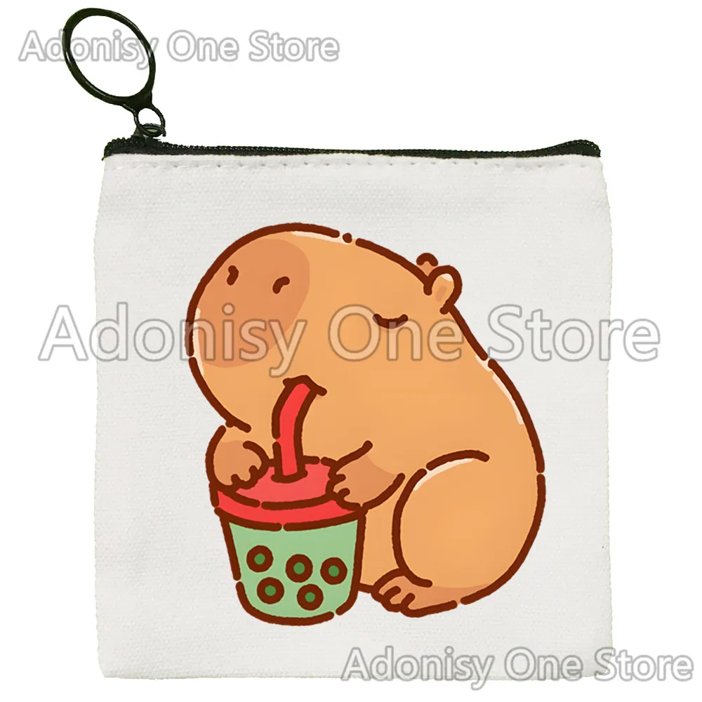 Capybara Version einfache Geldbörse Studentin Leinwand niedlichen Schlüssel tasche Mini Clutch kleine Geldbörse