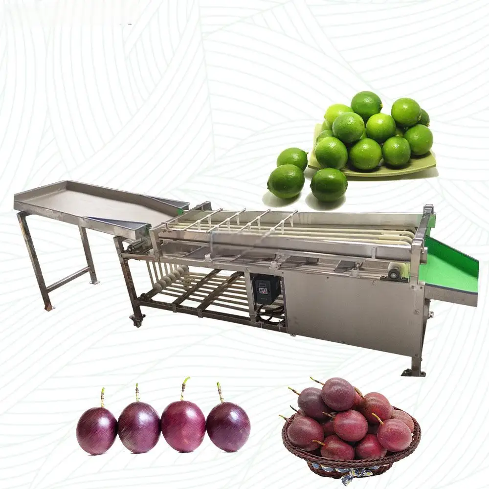 Multifunctional Fruit &Vegetable Grading Machine Fruit Sorter Avocado Sorting Machine Sweet Potato Grading Machine