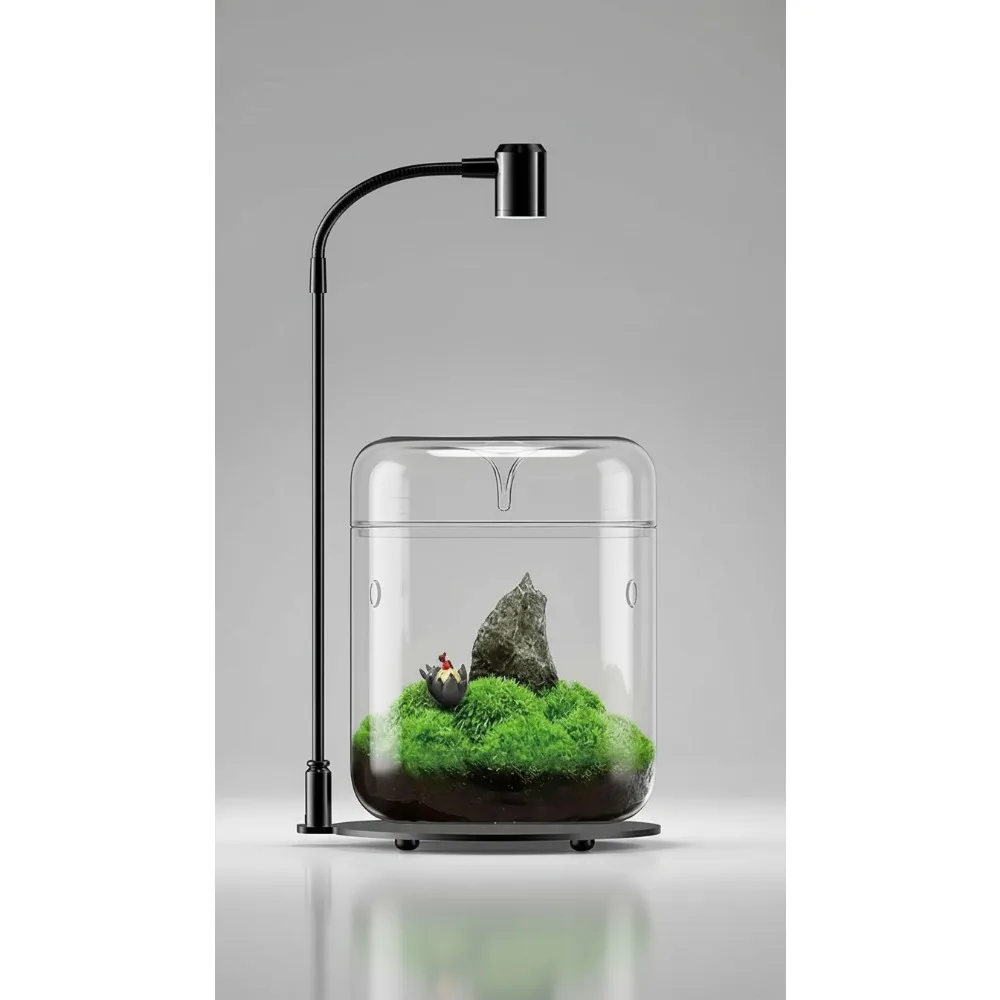 

Стеклянный террариум со светодиодной подсветкой - сочный воздушный горшок 4,7x7 дюймов для декора стола домашнего офиса