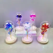 Valentines Day Gift Decorative Led Night Light Flower Eternal Preserved Rose In Glass Dome Mushrooms decoration Minature items