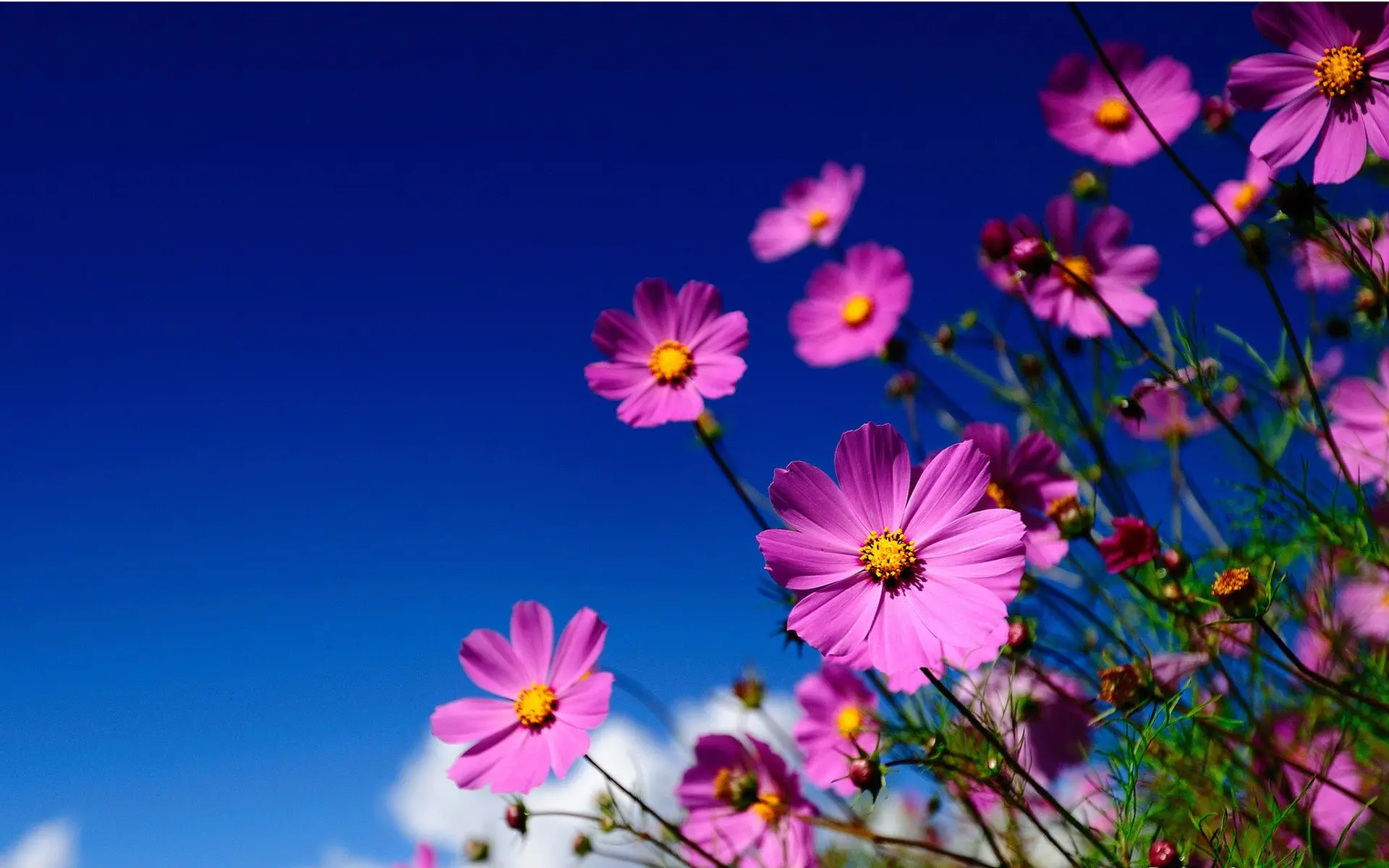 

2pcs ZD Racing 17mm HEX WHEEL & 170mm Wheels Tires for Redcat Rovan HPI Savage XL MOUNTED GT FLUX HSP 1/8 Monster Truck