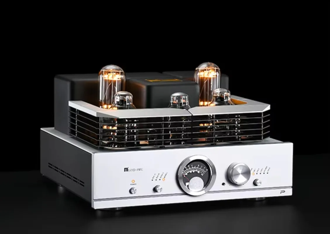 MUZISHARE R100 المهنية عالية الطاقة فئة أ مُضخّم صوت 300B إلى 845B Hifi استقبال ومكبر للصوت #1