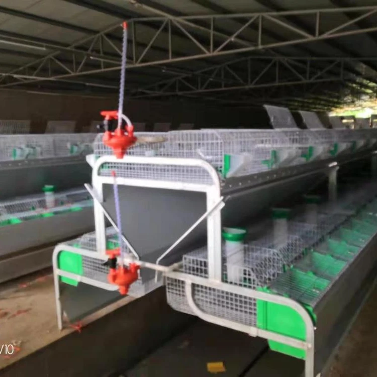 Jaula para conejos Jaula para conejos para madre y bebé de 24 posiciones para fábrica de conejos