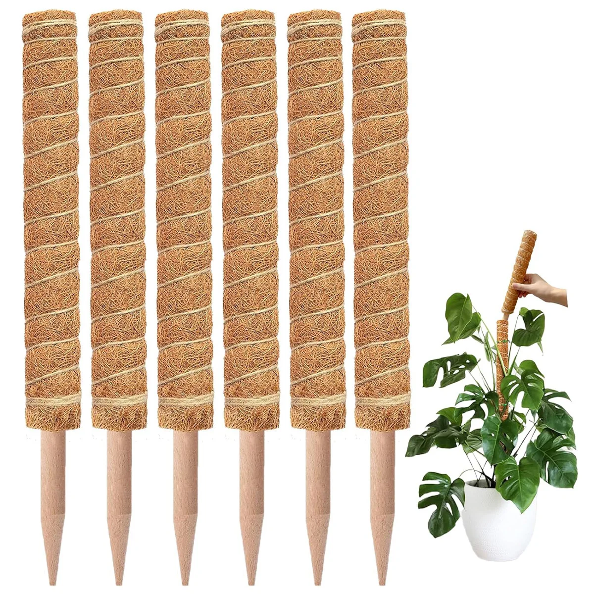 Grenzüberschreitender Garten-Kokosnussstab: Grüner Topf-Pflanzenhalter, Kletterhilfe für Blumen, Kokosnuss-Kletterstab, Moosstab, 1 Stk.