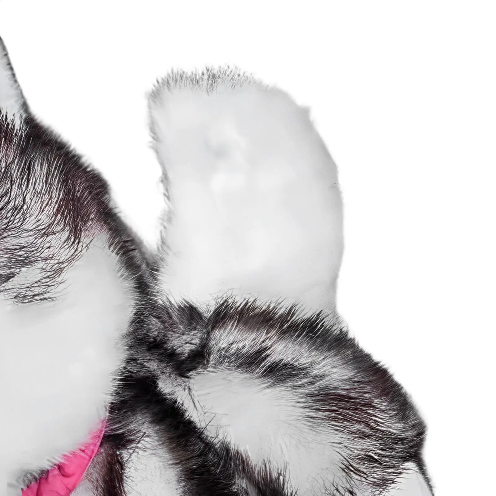 สุนัขไฟฟ้าสำหรับเด็ก นุ่มเหมือนจริง พร้อมกระเป๋าหิ้ว ร้องเพลง ส่งเสียงเห่า สำหรับเด็กชาย เด็กหญิง วัยรุ่น เด็กๆ ใช้ในห้องนั่งเล่น