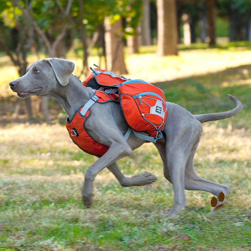 Dog chest backpack back outdoor sports weight vest adjustable chest back pet supplies