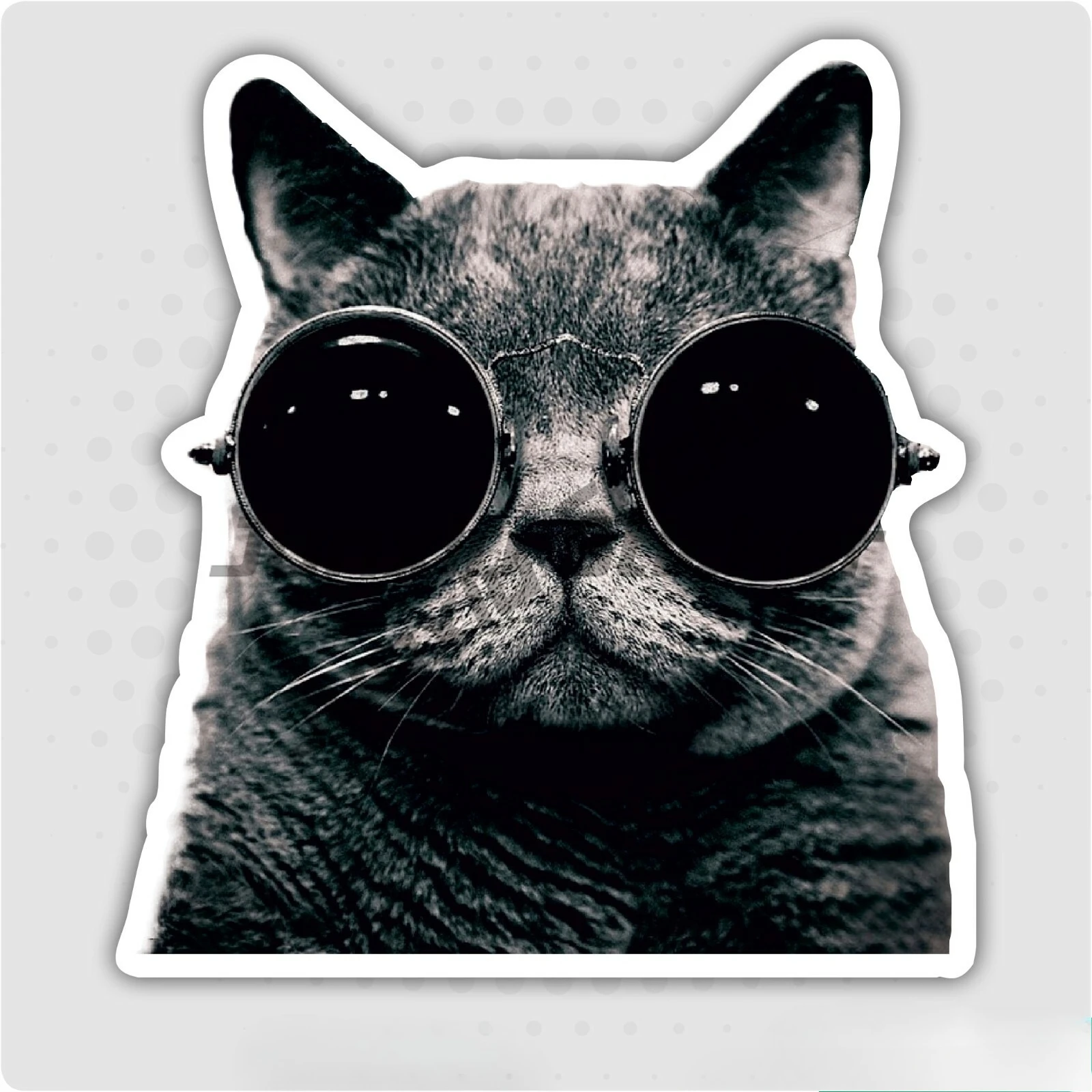 

Cool Cat in Glasses Stickers for Car Van Truck Taxi Lorry Self-Adhesive Vinyl