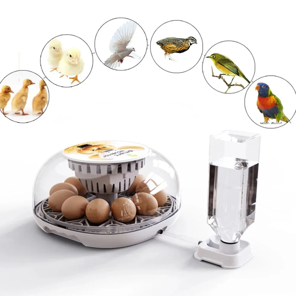 12 Smart Incubators With Automatic Constant Temperature And Automatic Water Replenishment Can Incubate Chickens, Ducks And Birds