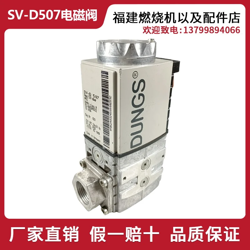 DUNGS Dongsi SV-D507 SV-DLE510 Gas Solenoid Valve Gas Ignition Solenoid Valve