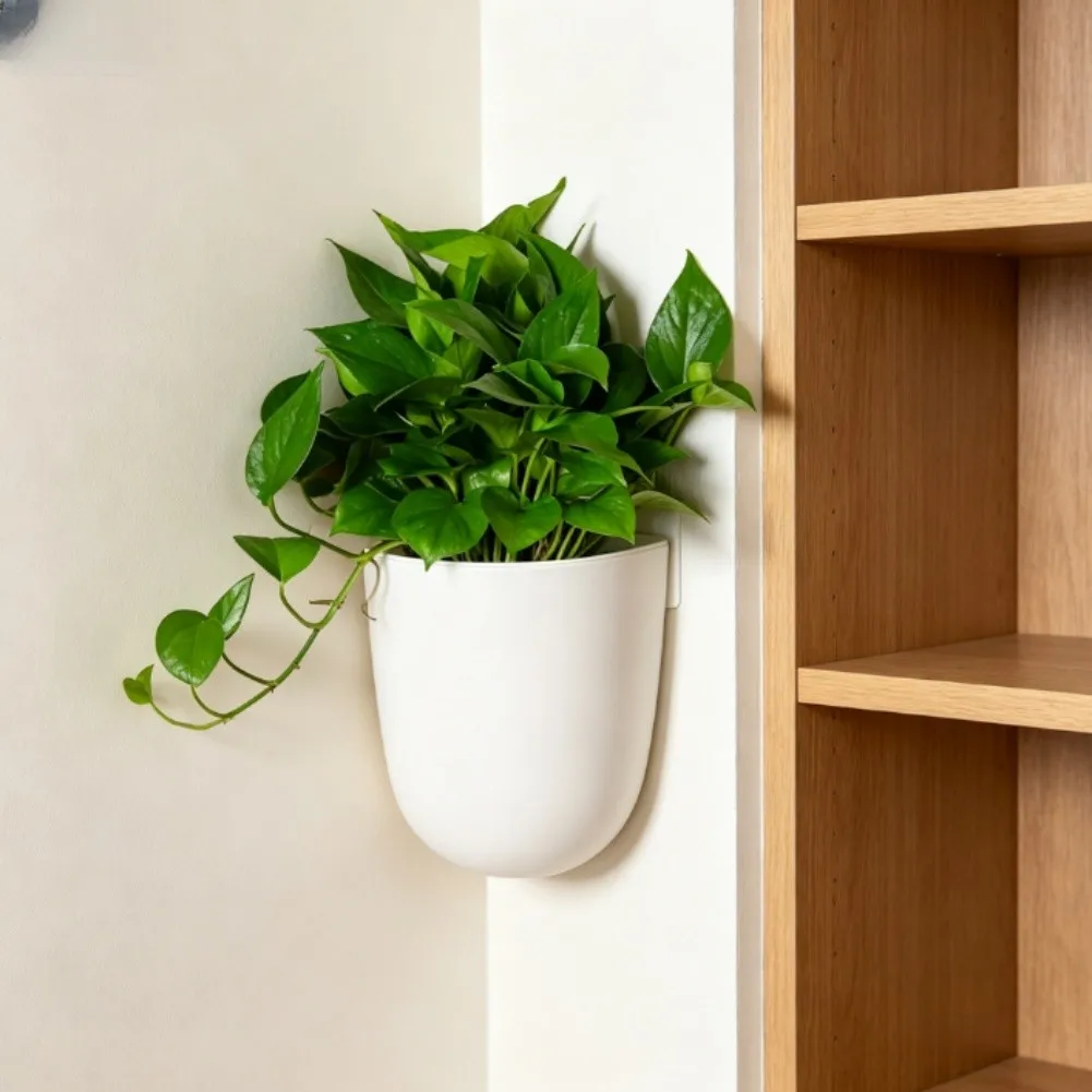 Wall Corner Hanging for Indoor Plants with Automatic Watering System Absorbent Rope and Transparent Water Storage