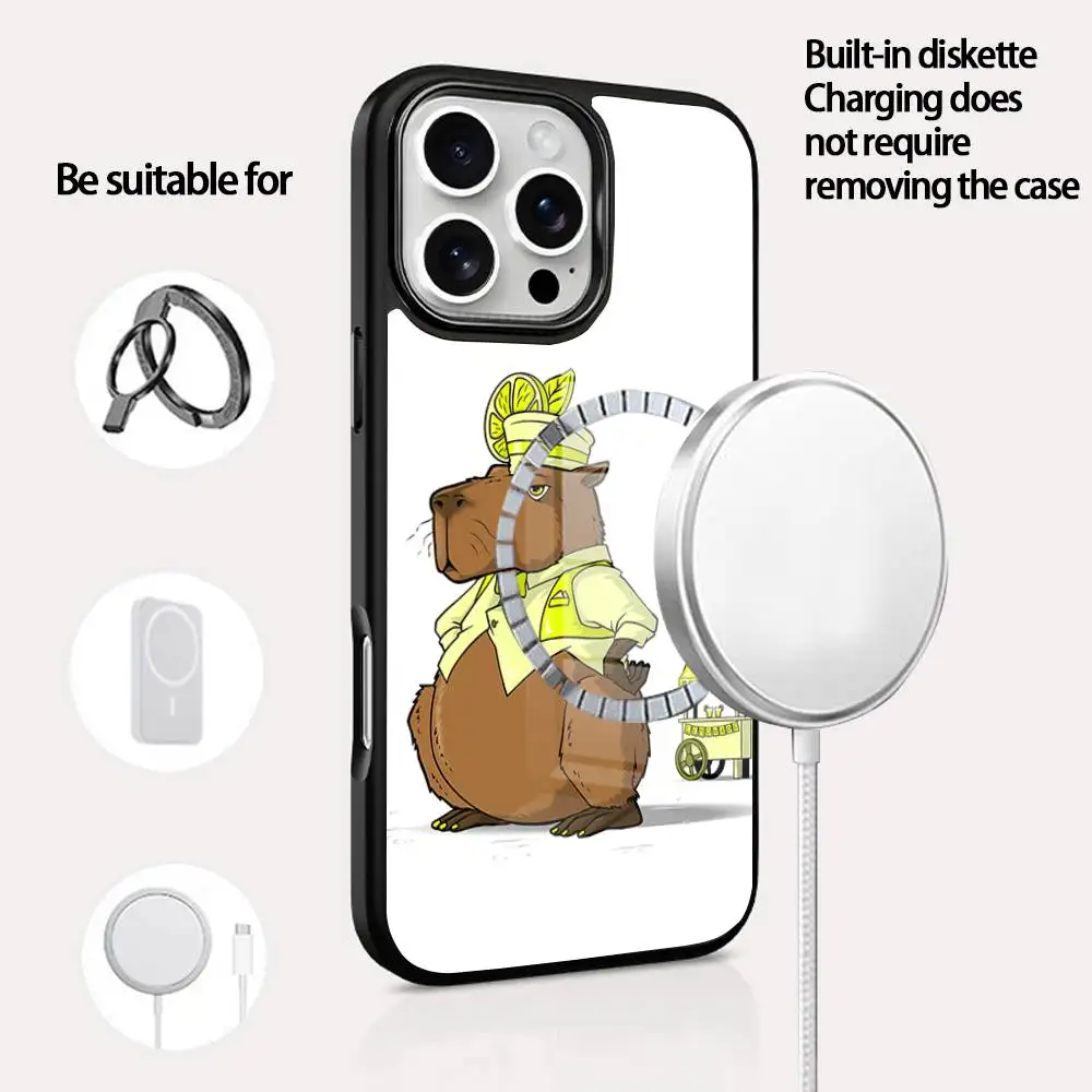 

Funny Capybara Phone Case For IPhone 16 15 14 13 12 11 Pro Max Plus Mini Magsafe Mirror Wireless Magnetic Cover