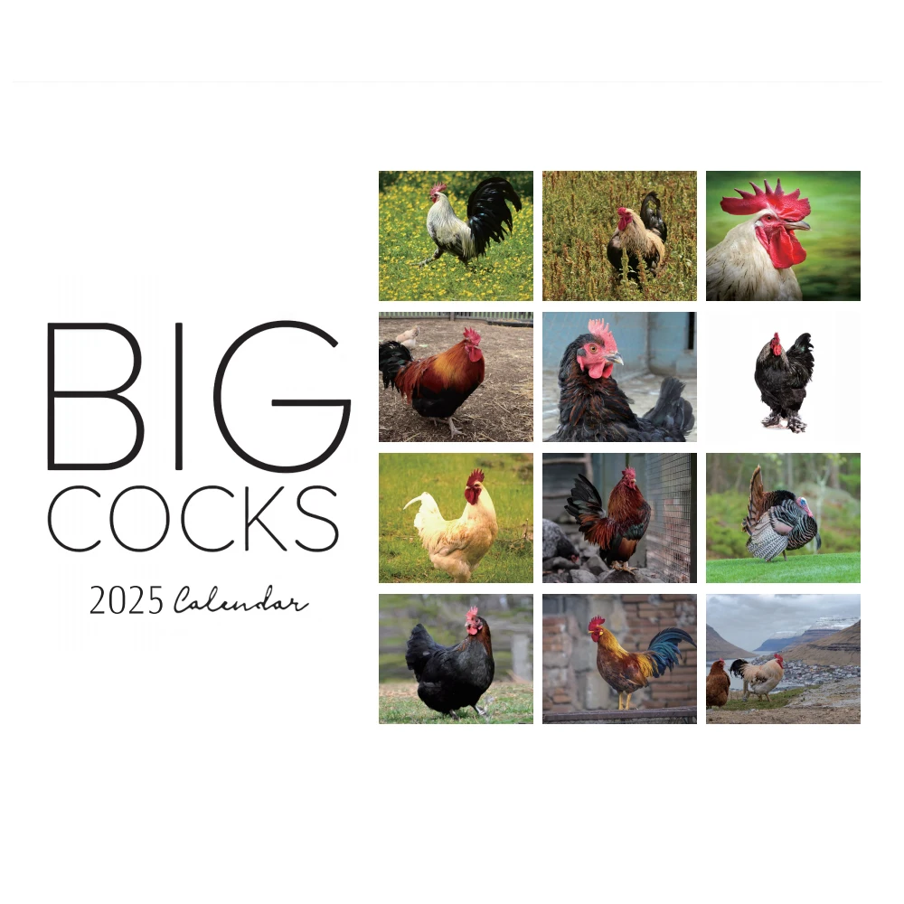 2025 Big Cocks Calendar, Vibrant Wildlife Photography, 12-Month Wall Calendar, Office & Home Decor, Animal Enthusiasts, Paper, E