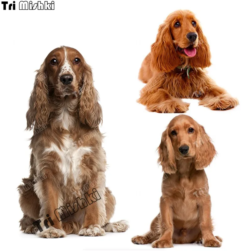 Tri koshki WCS440 Dog Red Golden English Cocker Spaniel Wall Sticker Waterproof Decal PVC Home Decoration Door Living Room Toile