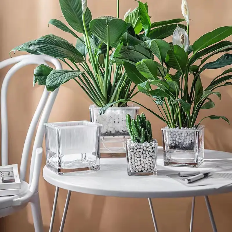 

Simple Small Square Glass Vase - Transparent Water Culture Vase for Dining Table/Office Desk, Desktop Decoration & Home Gift