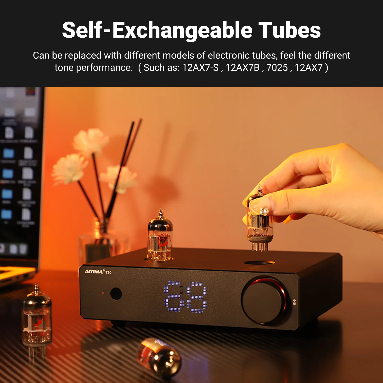 AIYIMA T20 فراغ أنبوب المضخم ECC83 متوازن تماما Preamp RCA XLR المدخلات HiFi ستيريو DAC أمبير 12 فولت الزناد الناتج