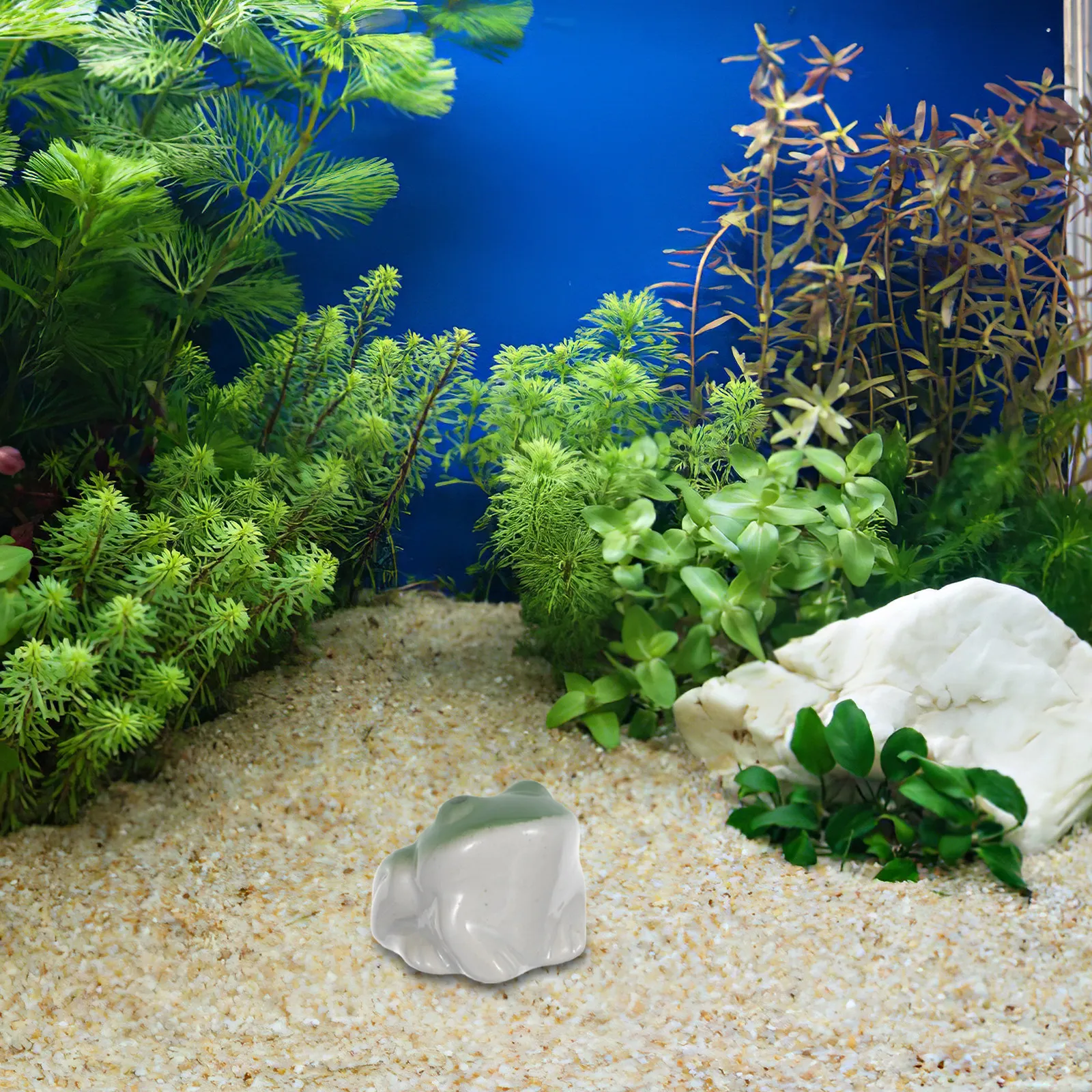 Rana de Cerámica Flotante Enca - Aquarium Fish Elevator reseña y precio
