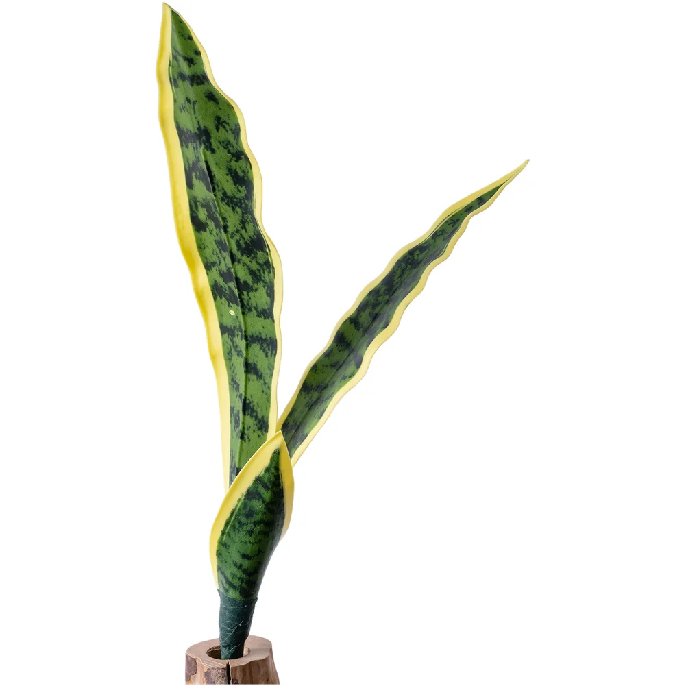 

DIY Decor Dark Green Artificial Snake Plant Detailed Imitation Lifelike Design No Maintenance Required For Wedding