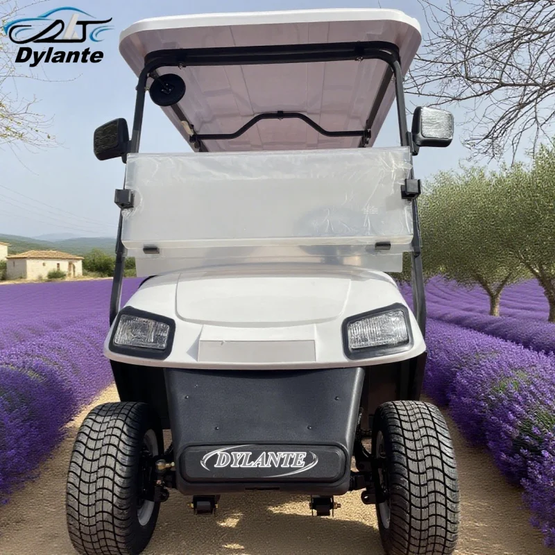 

Factory Wholesale 4 Seater Club Electric Golf Cart New Model A Style Hunting Car PP Injection Molding Lining Structure Materials