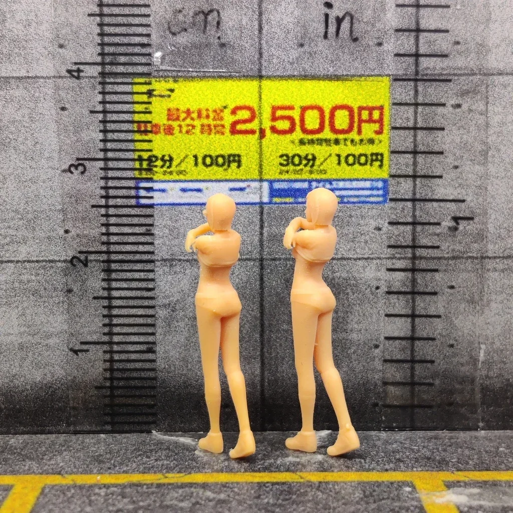 1/64 1/43 スケールモデル レジン ストリッパー 未塗装ミニチュアジオラマ 手描き S719