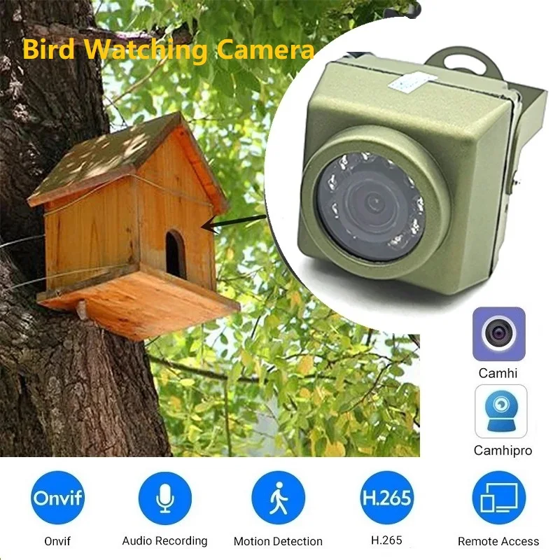 1080P 1920P Outdoor WiFi Bird Watching Camera Waterproof 940nm IR Night Vision Mini Security Bird Box Nest Camera Camhi CCTV