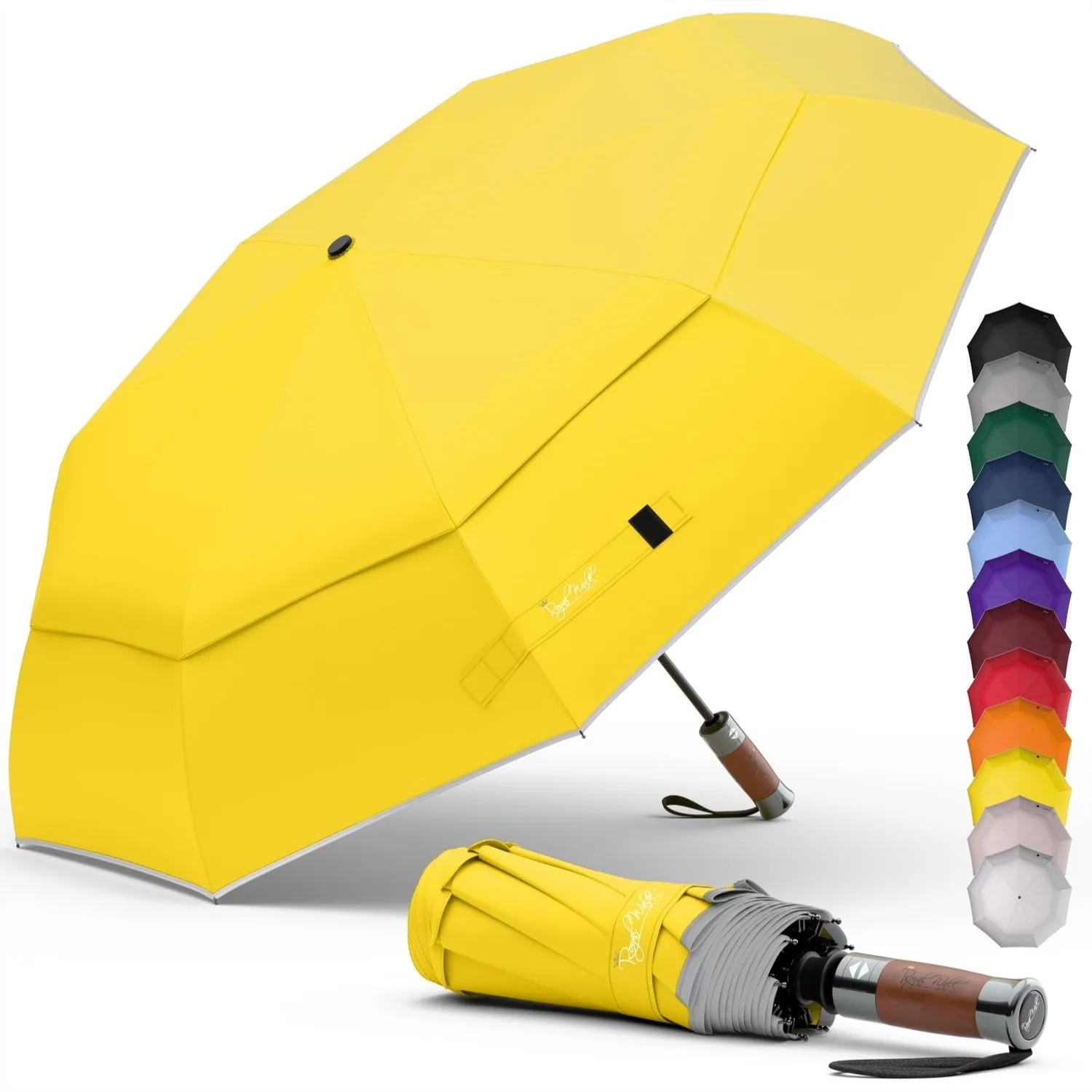 

Windproof Folding Travel Umbrella with Vented Double Canopy and Auto Open Close, Compact Strong for Men and Women