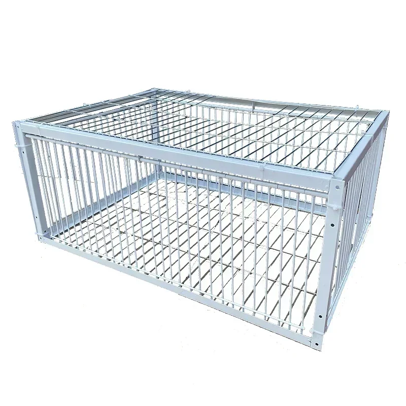 For Foldable Galvanized Pigeon Bird Trap Cage Wild Pigeon Humanitarian Way with One-Way Entrance Pigeon in Cage