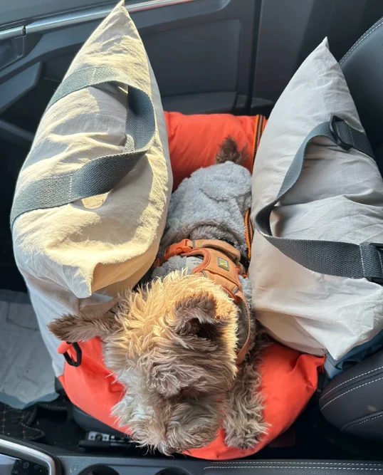 Waterproof Detachable Car Pet Bed Portable Travel Cushion For Medium Large Dogs