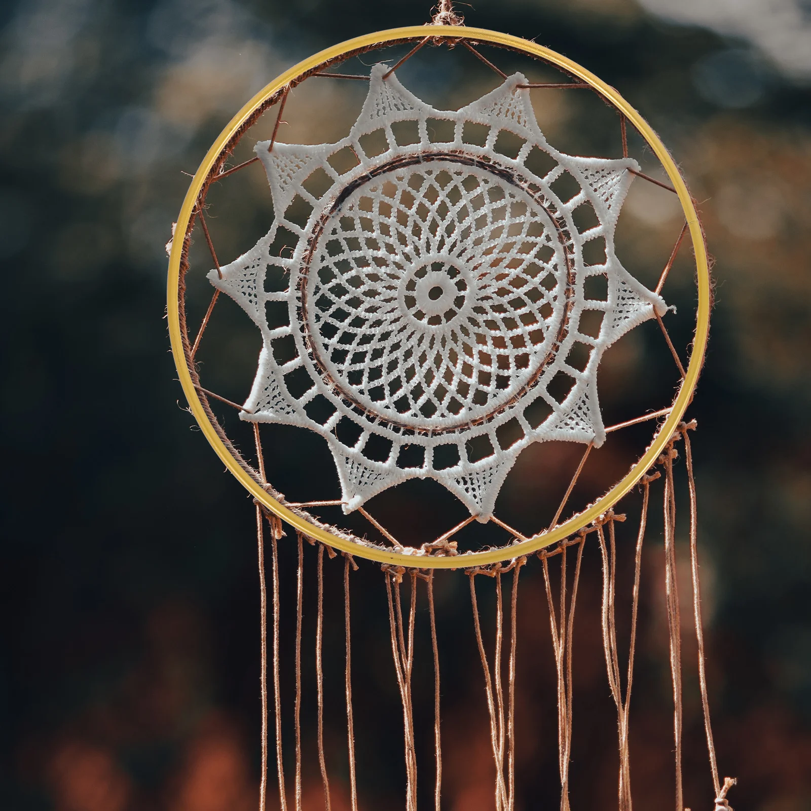 

12 Pcs Iron Ring Lace Hoop Small Tag Floral Macrame Hoops Rings Dreamcatchers Crafts Flower Arrangement